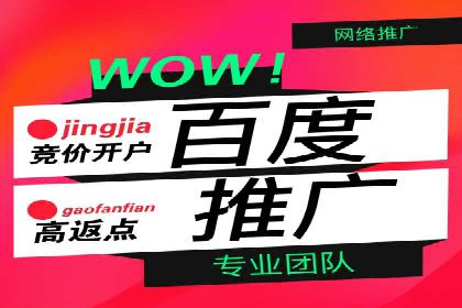 百度搜索推广的优化策略及成功案例分享